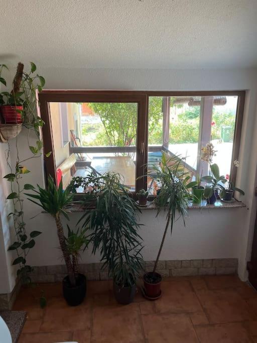 Room In Otocac Helena المظهر الخارجي الصورة